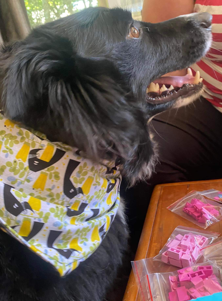 Bandana