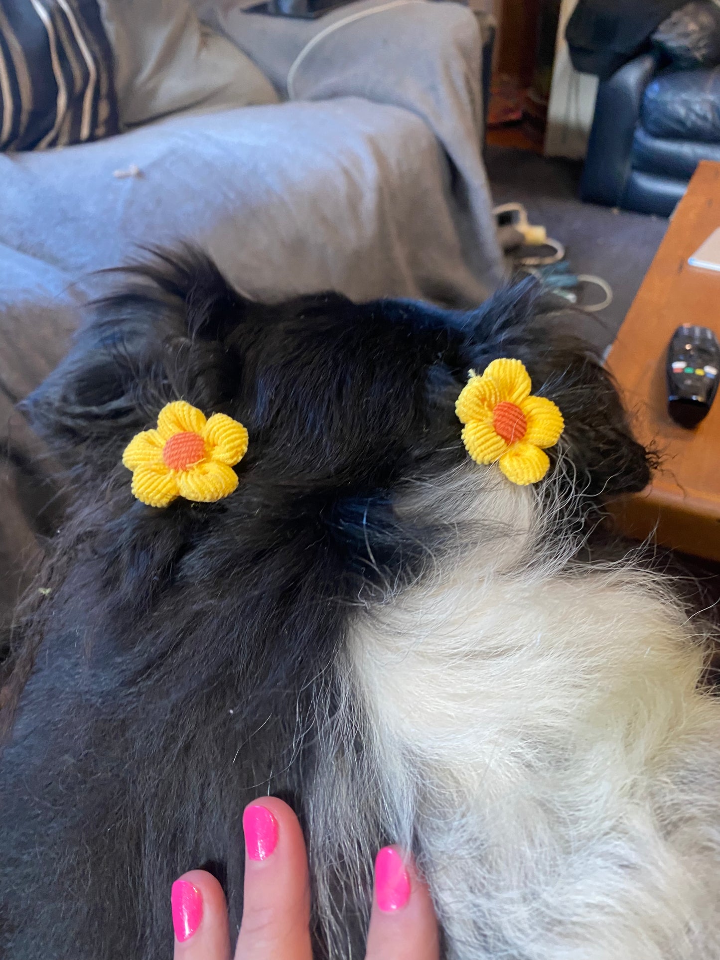 Flower Fur Ties