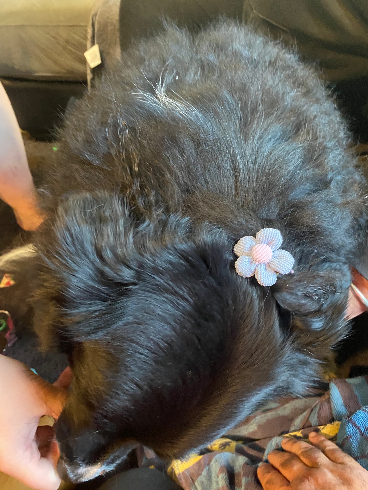 Flower Fur Ties