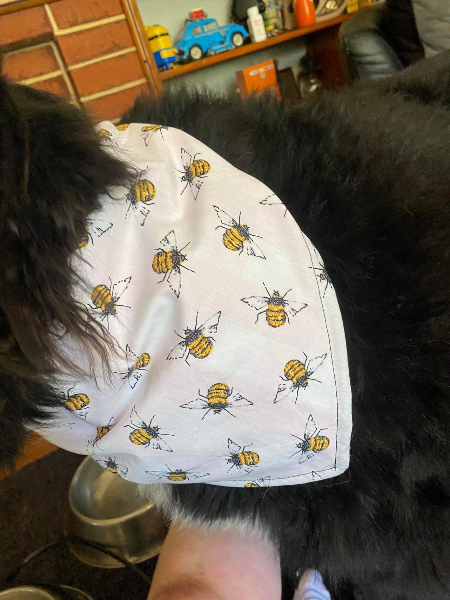 Bandana