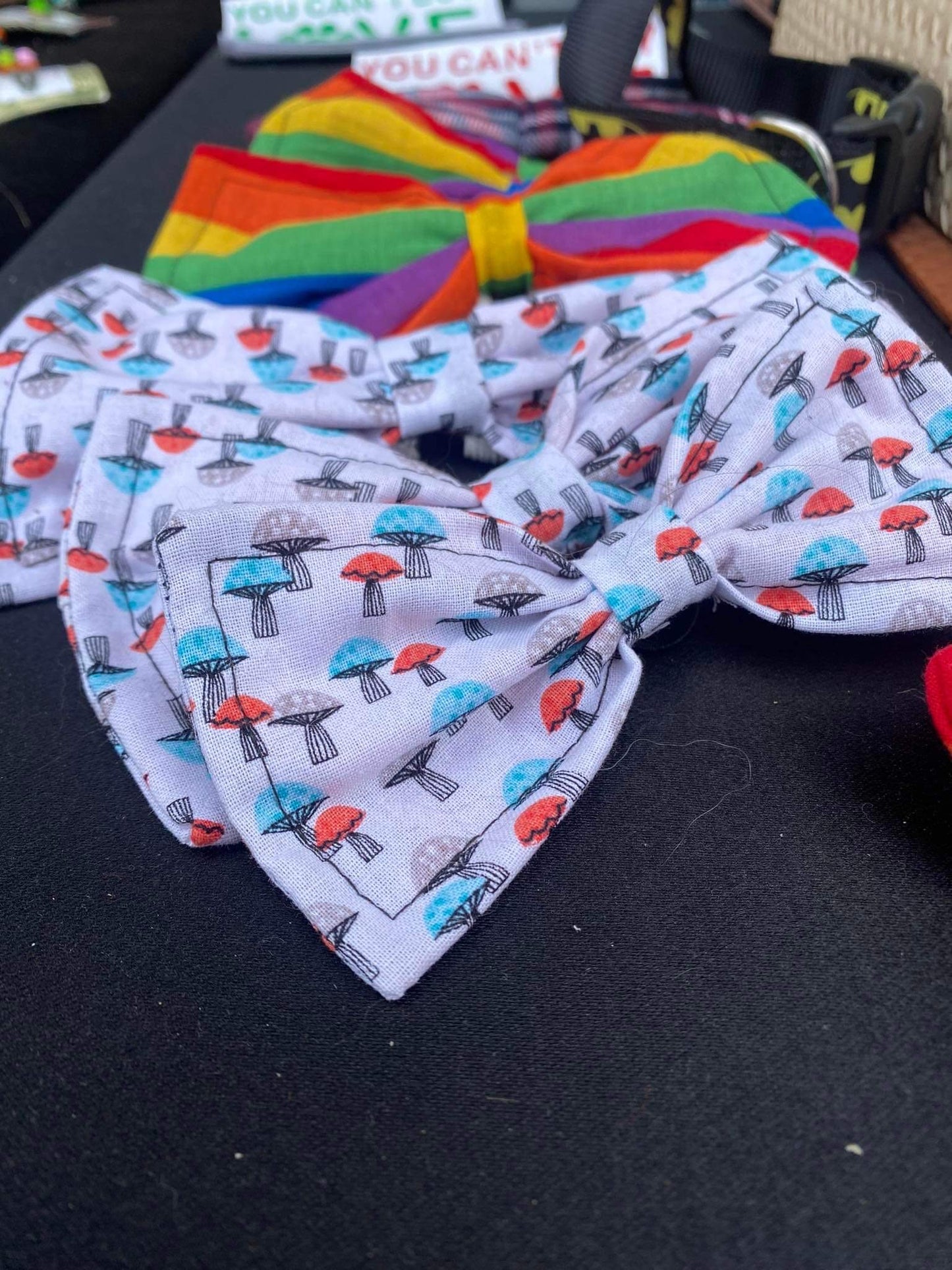 Bow/Bowtie