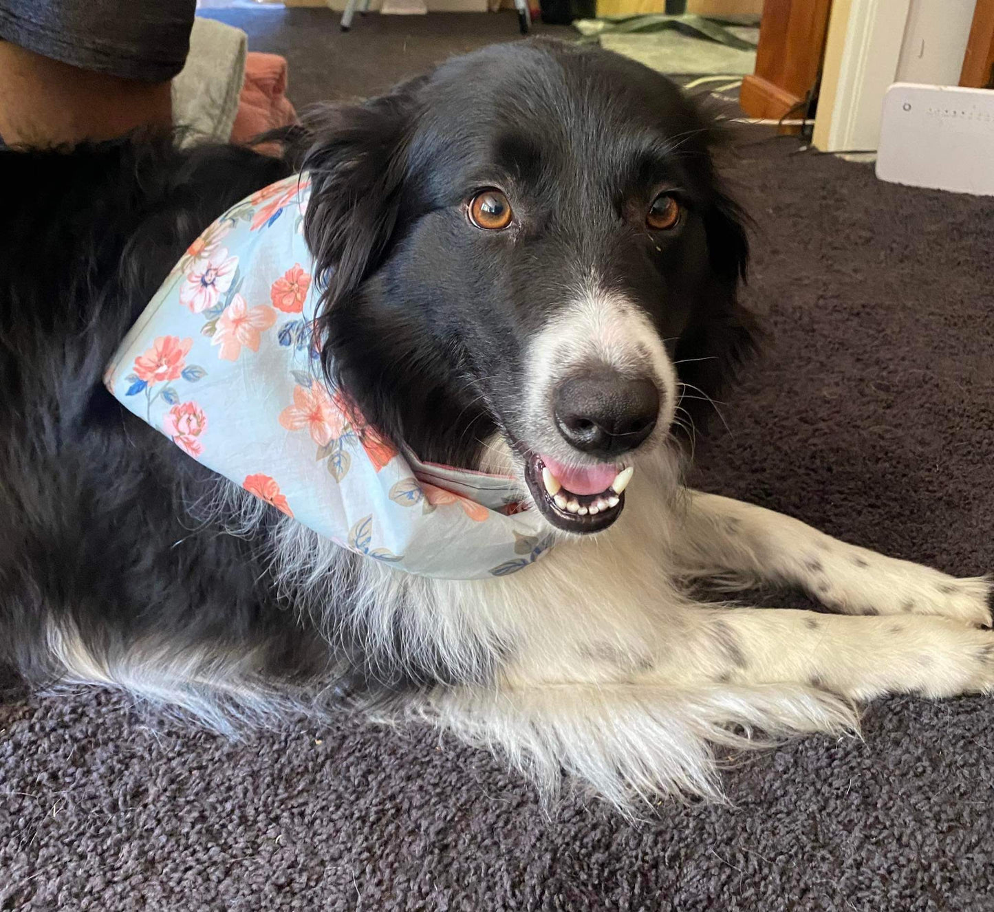 Bandana