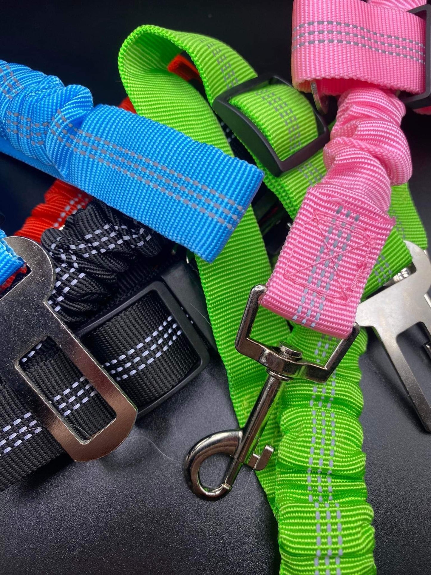 Dog safety belt