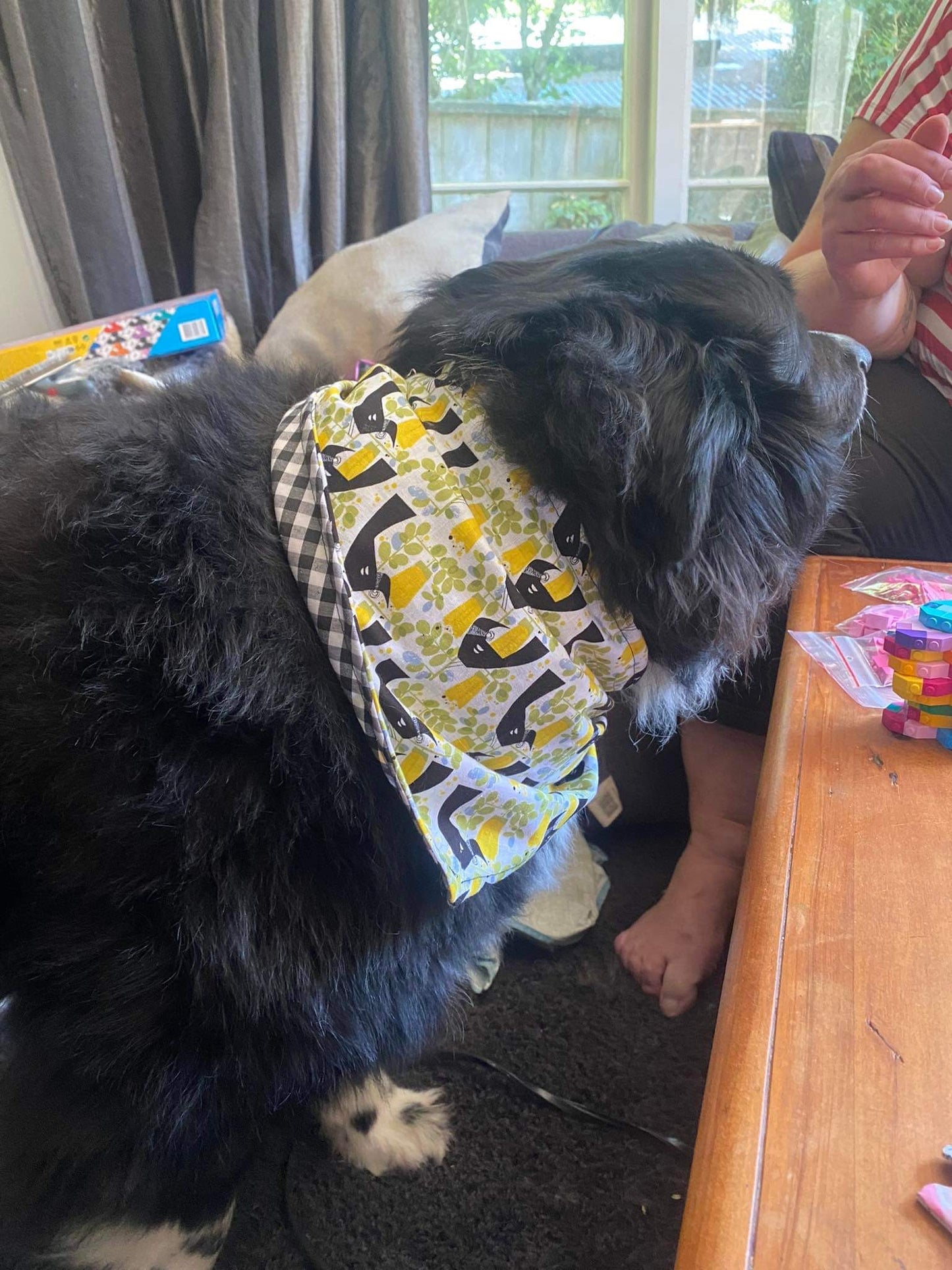 Bandana
