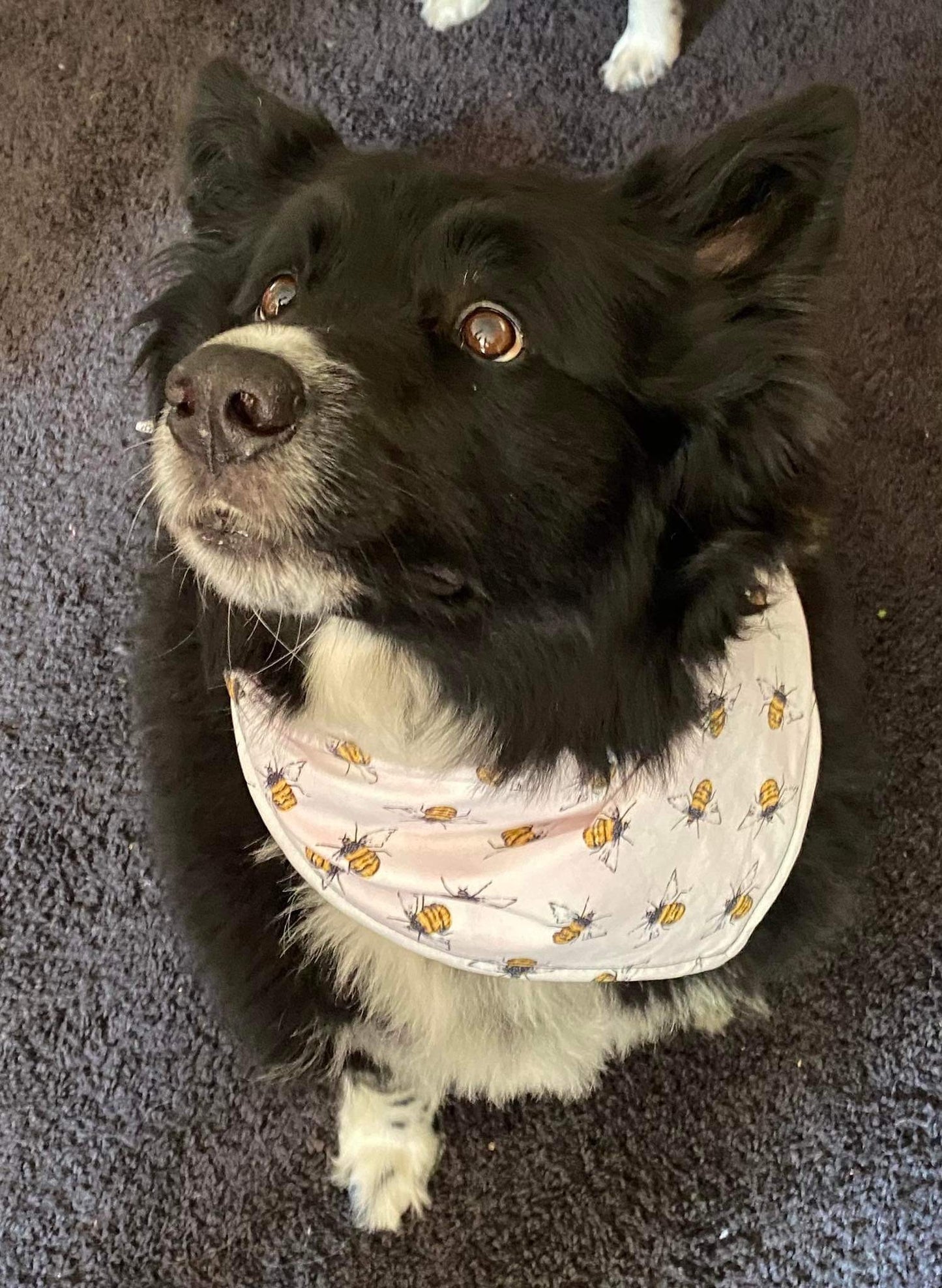 Bandana