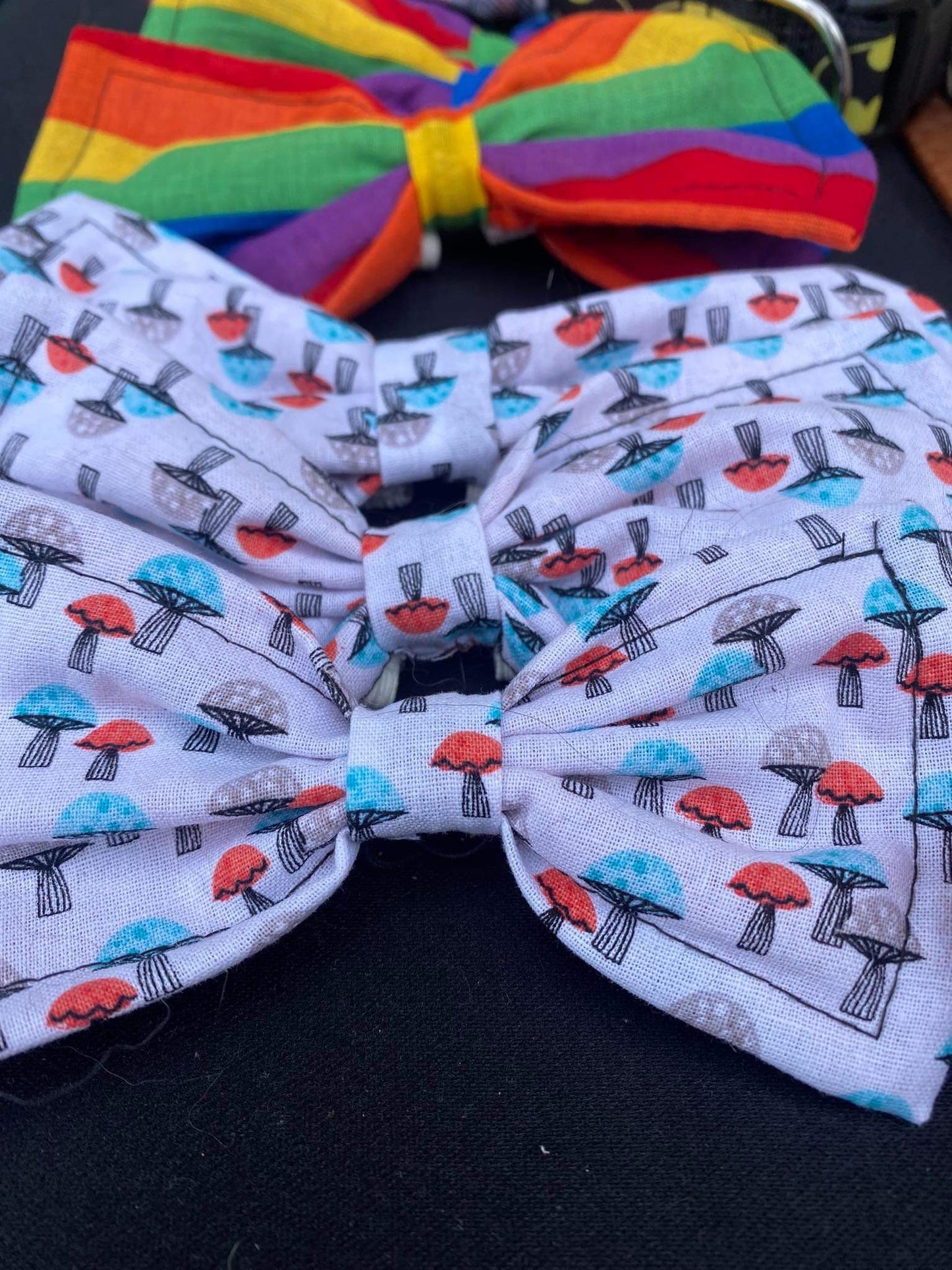 Bow/Bowtie