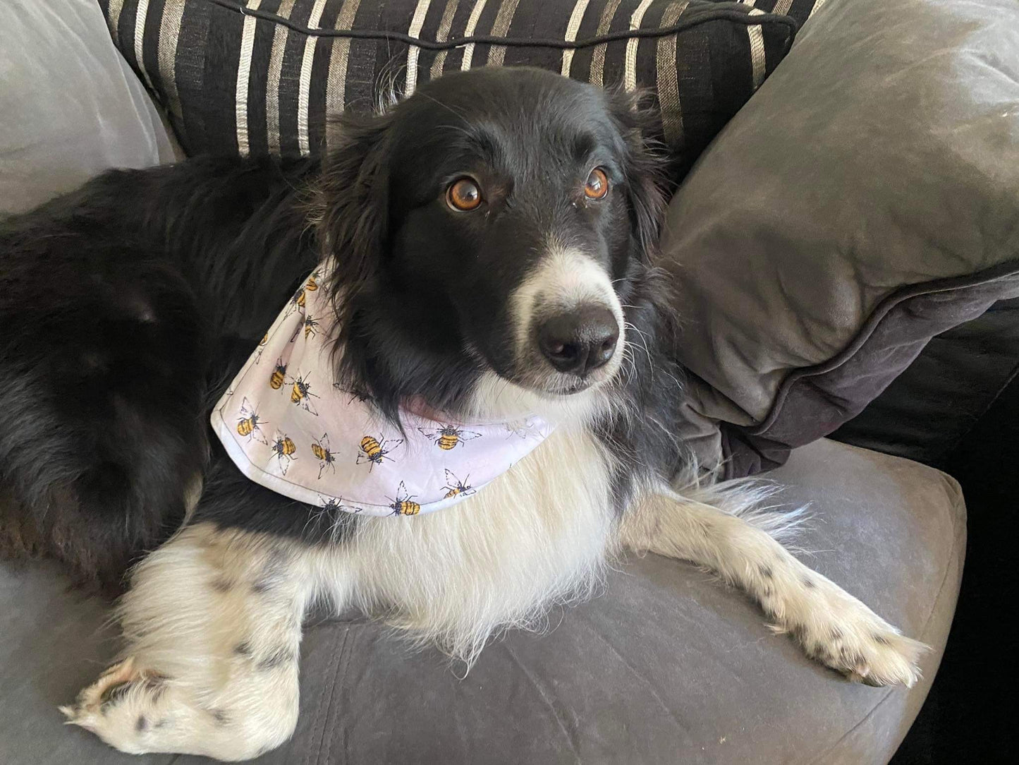 Bandana