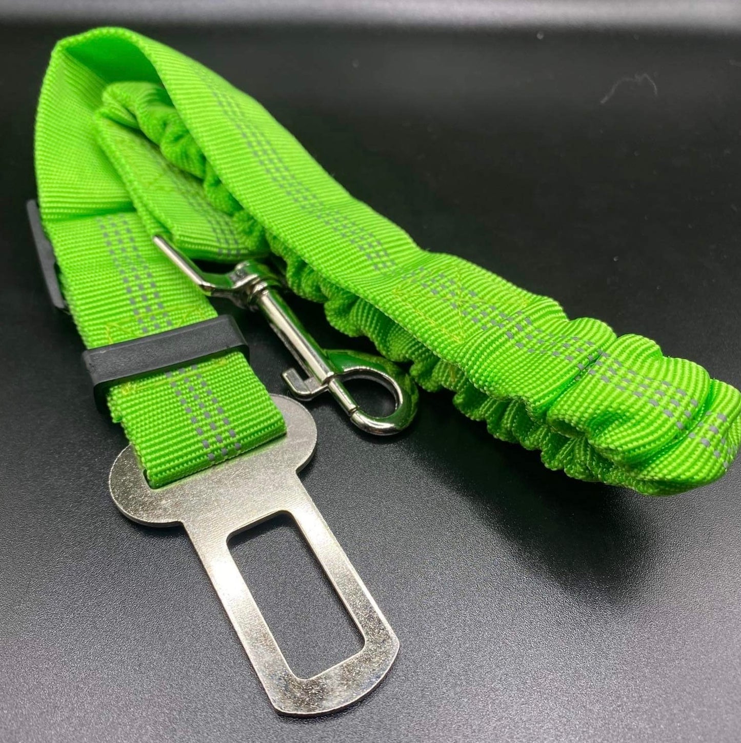 Dog safety belt