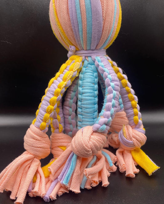 Octopus